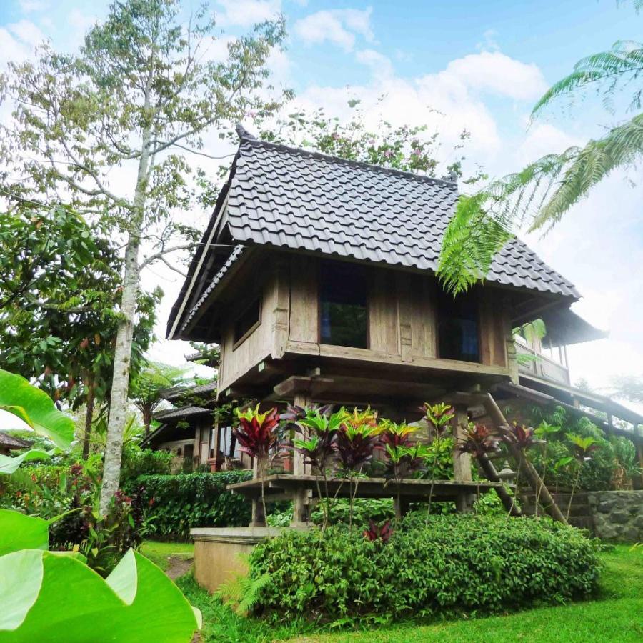 Bali Mountain Retreat Villa Selemadeg  Ngoại thất bức ảnh