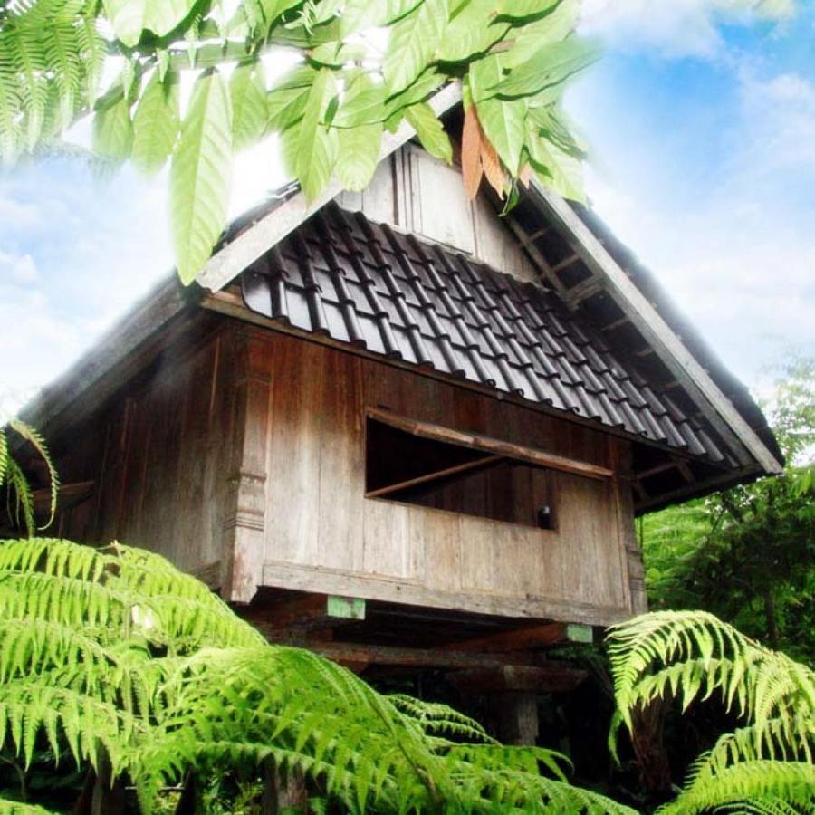 Bali Mountain Retreat Villa Selemadeg  Ngoại thất bức ảnh