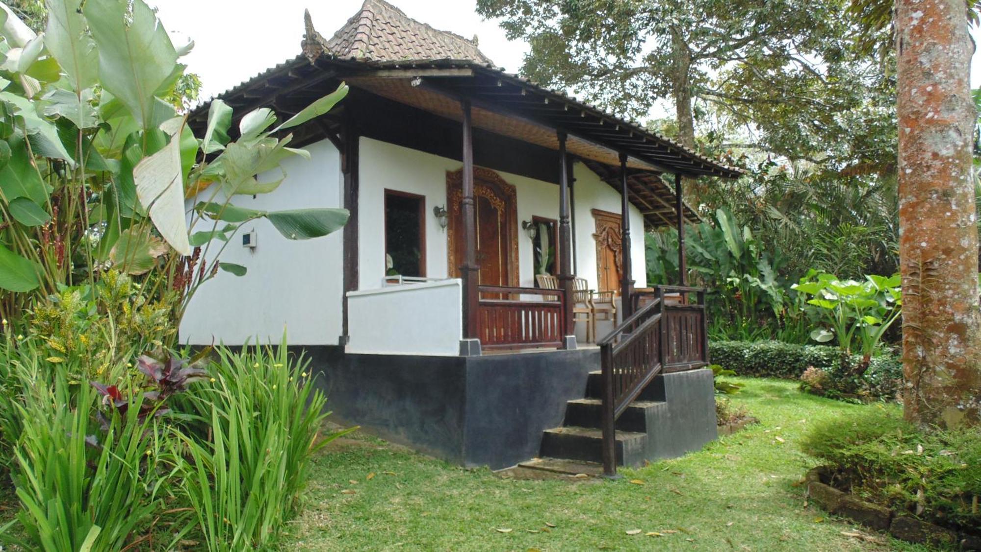 Bali Mountain Retreat Villa Selemadeg  Ngoại thất bức ảnh