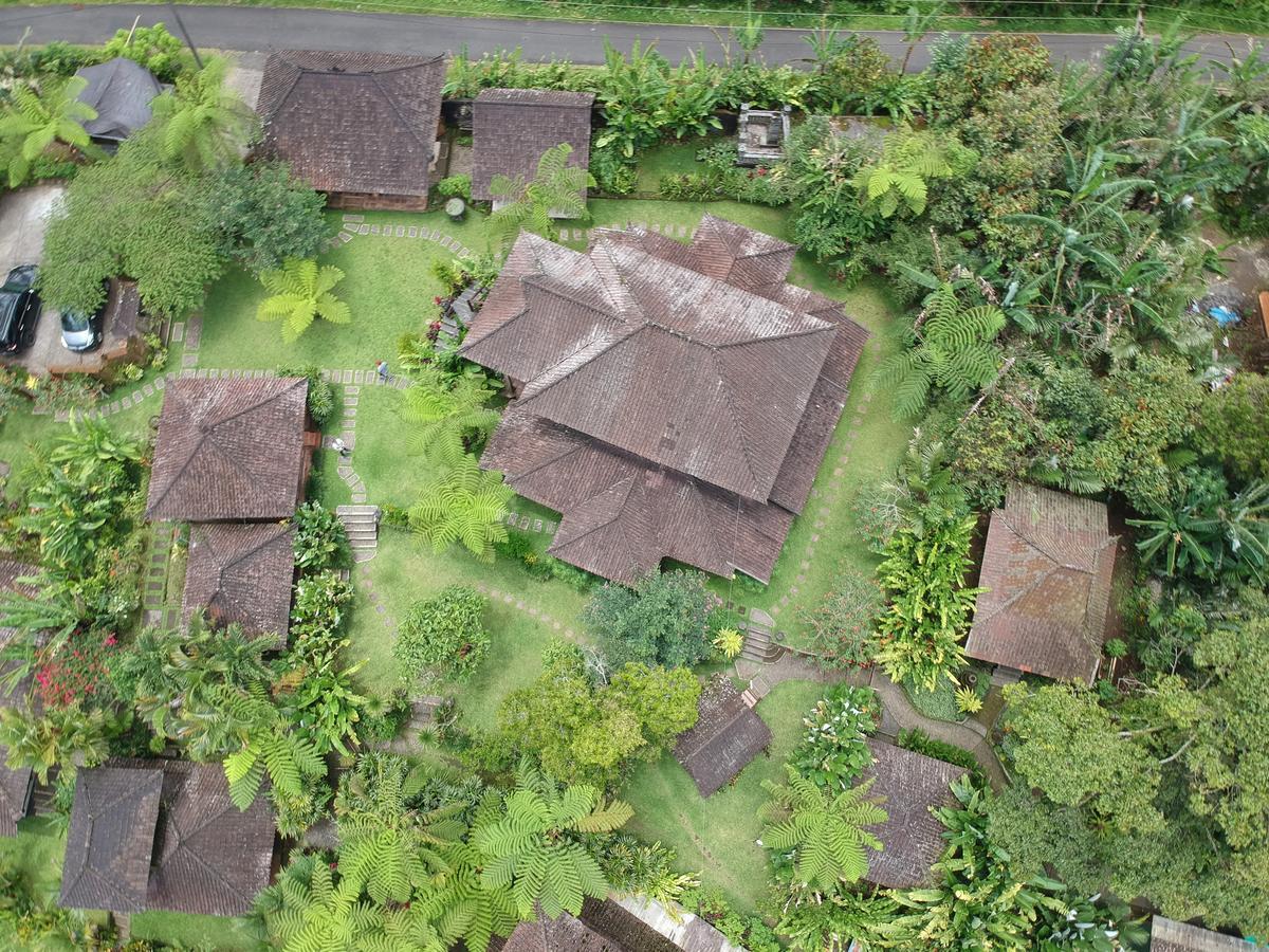 Bali Mountain Retreat Villa Selemadeg  Ngoại thất bức ảnh