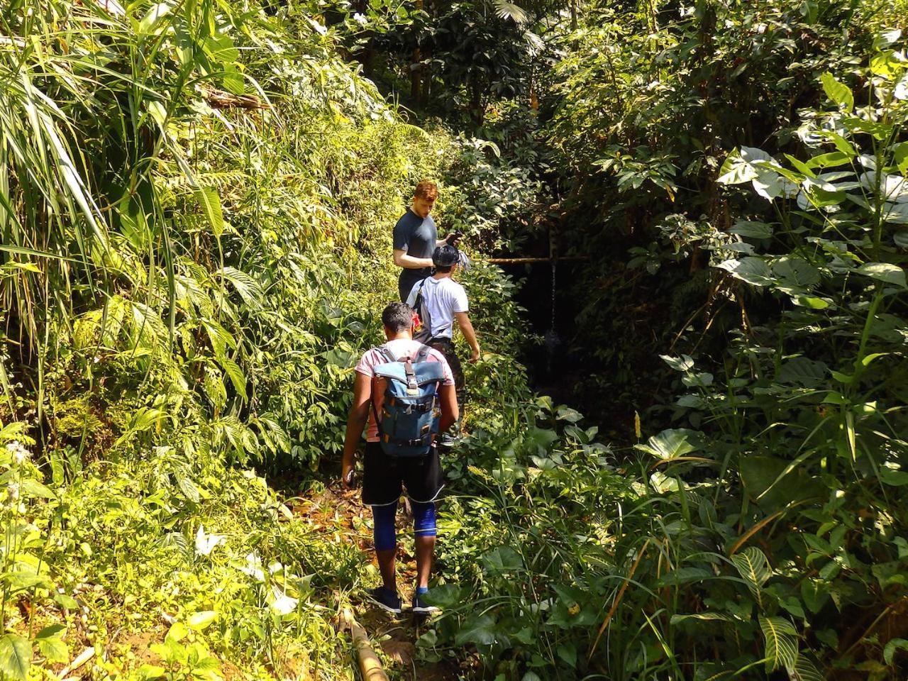 Bali Mountain Retreat Villa Selemadeg  Ngoại thất bức ảnh