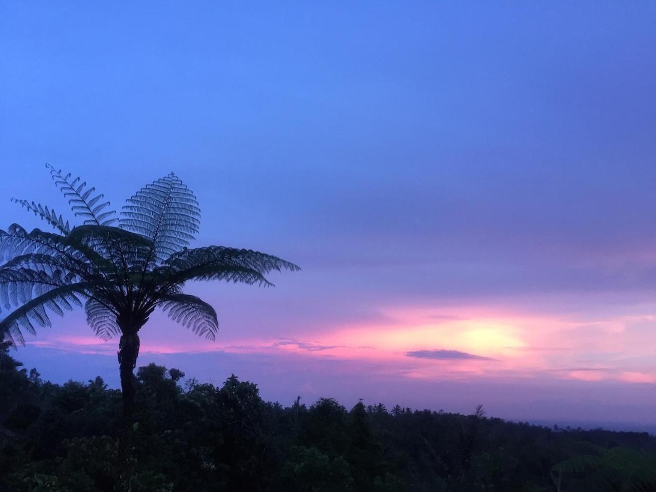 Bali Mountain Retreat Villa Selemadeg  Ngoại thất bức ảnh