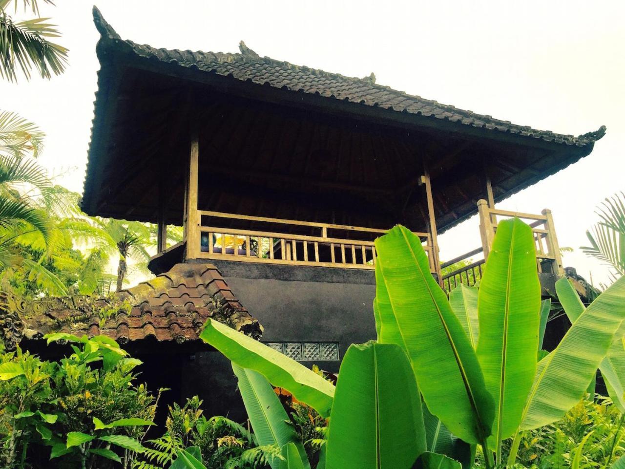 Bali Mountain Retreat Villa Selemadeg  Ngoại thất bức ảnh